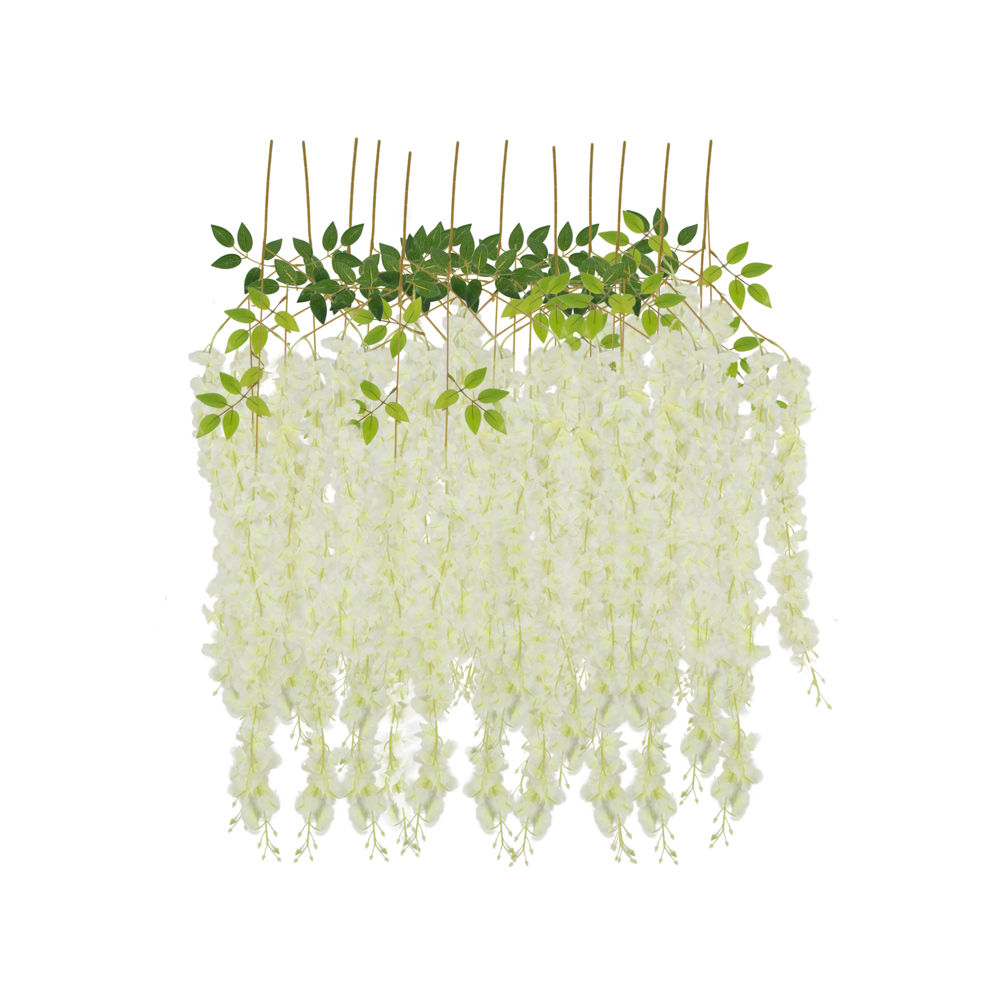 hanging wisteria plant Ivory 12 Pack Hanging Wisteria Vines Silk Flower Stem Size: 42 in | Artificial | Wedding | Event