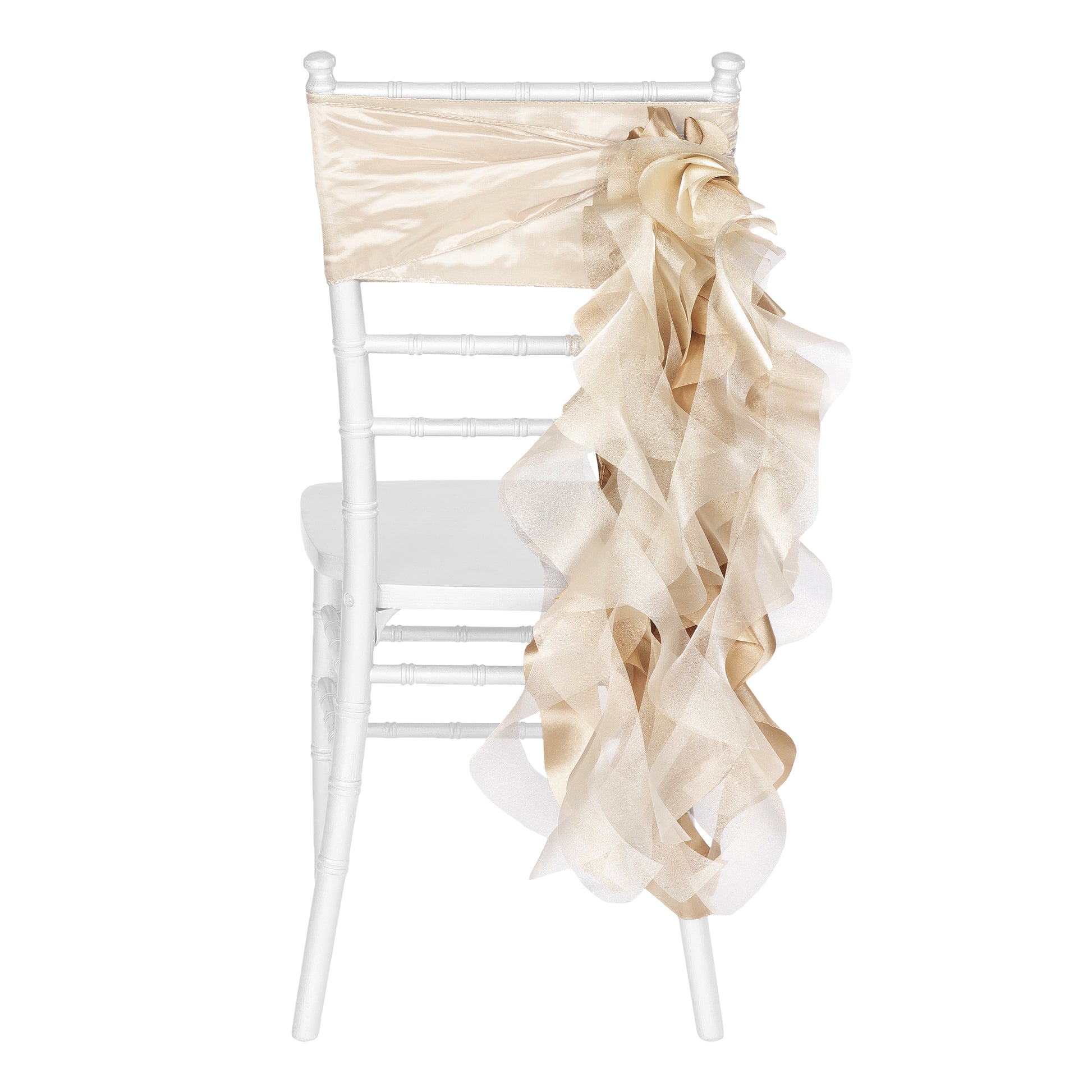 Curly Willow Chair Sash - Champagne - CV Linens