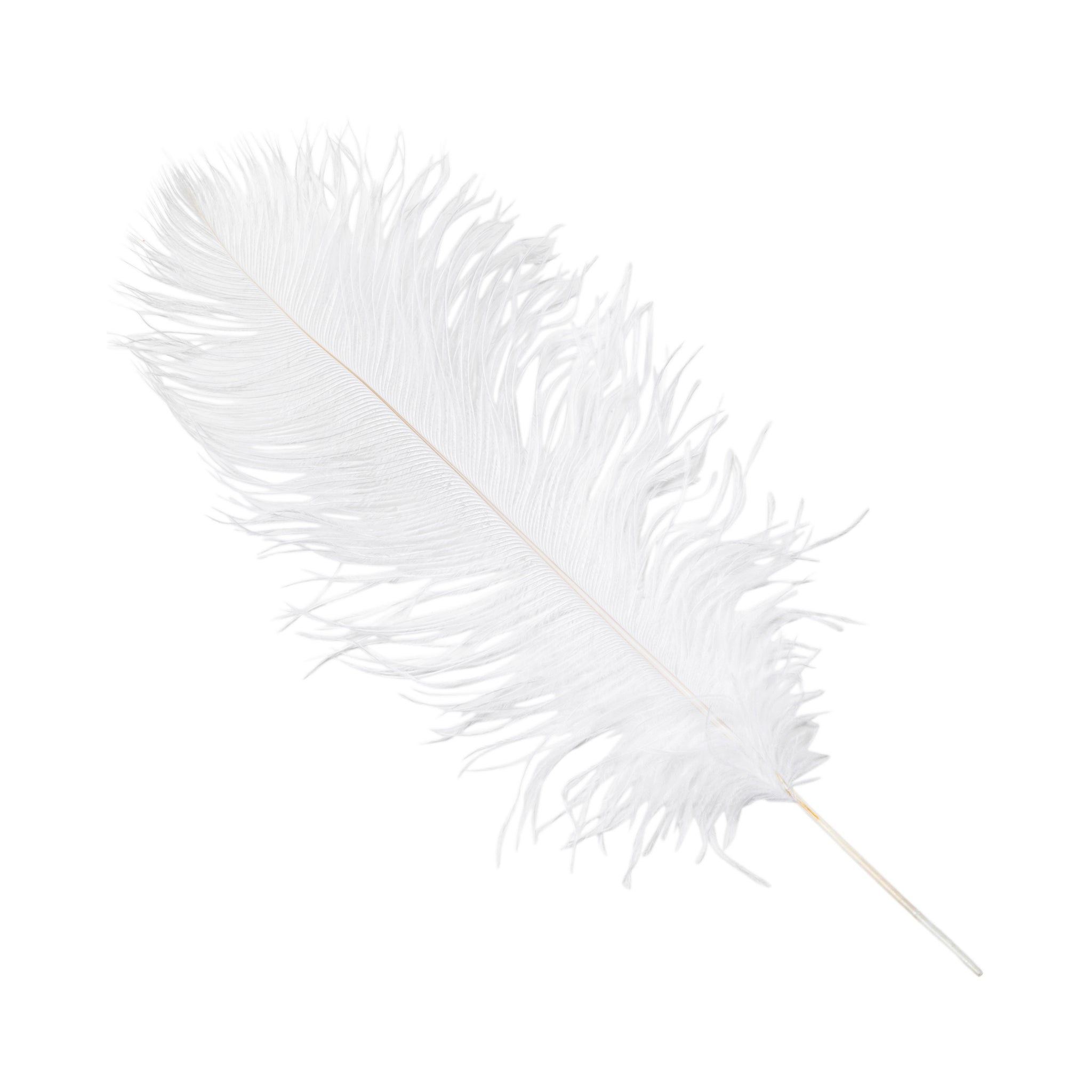 Larryhot White Large Ostrich Feathers - 16-18 inch 10pcs Feathers