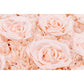 Silk Roses/Hydrangeas Flower Wall Backdrop Panel - Light Pink - CV Linens