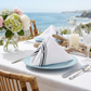 18"x22" Black Stripe Bistro Spun Polyester Napkins 5pc/pk on top baby blue dinner plate and white tablecloth