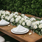 5 pcs/pk Crinkle Velvet 20"x20" Linen Napkin - White