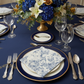 5 pcs/pk Vintage Mediterranean 20"x20" Napkin