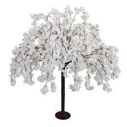 5ft White Weeping Cherry Blossom Tree
