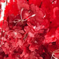 9.5ft Heart Shaped Cherry Blossom Wedding Arch Backdrop (2pc/set) Red floral close up
