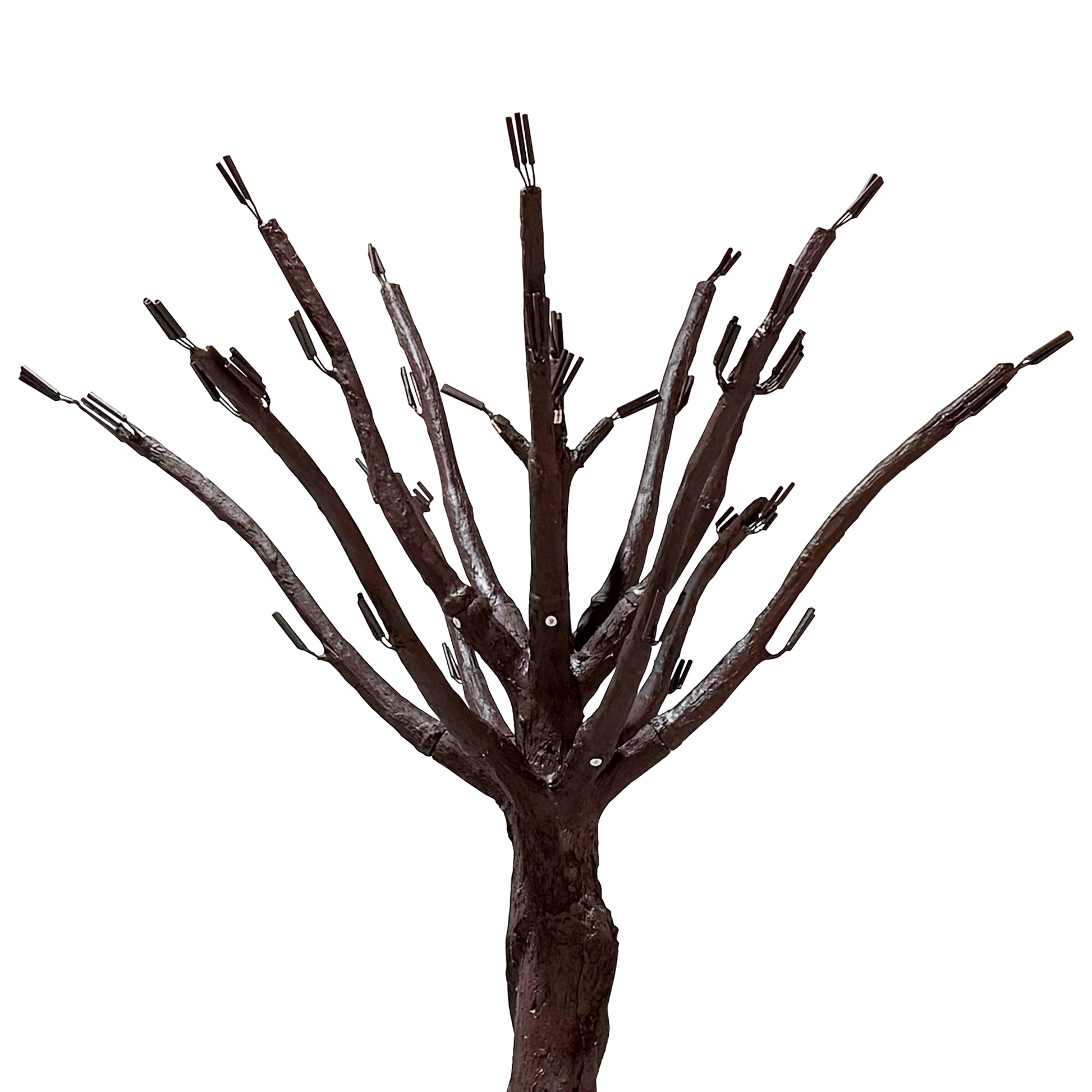 9.5ft Weeping Cherry Blossom Tree White branches without florals close up