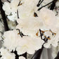 9.5ft Weeping Cherry Blossom Tree White florals close up