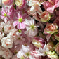 Artificial 3D Floral for Butterfly Backdrop Stand Pink close up of all the pink florals 