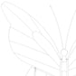 Butterfly Shape Backdrop Stand  wing close up