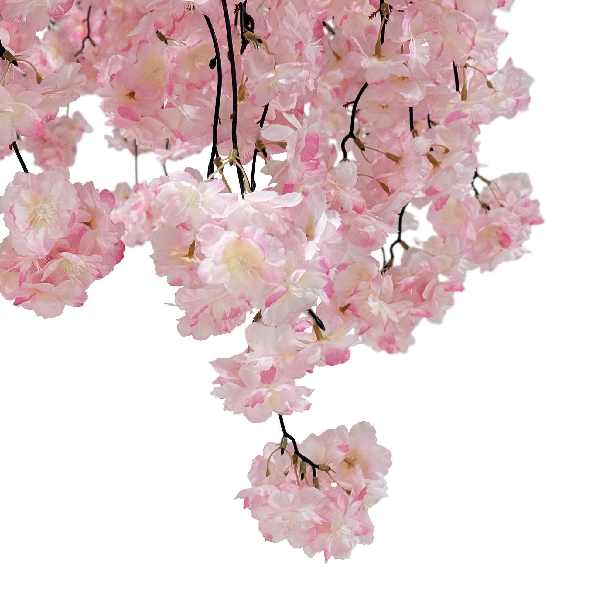 Cherry Blossom Ceiling Cascade Pink florals close up