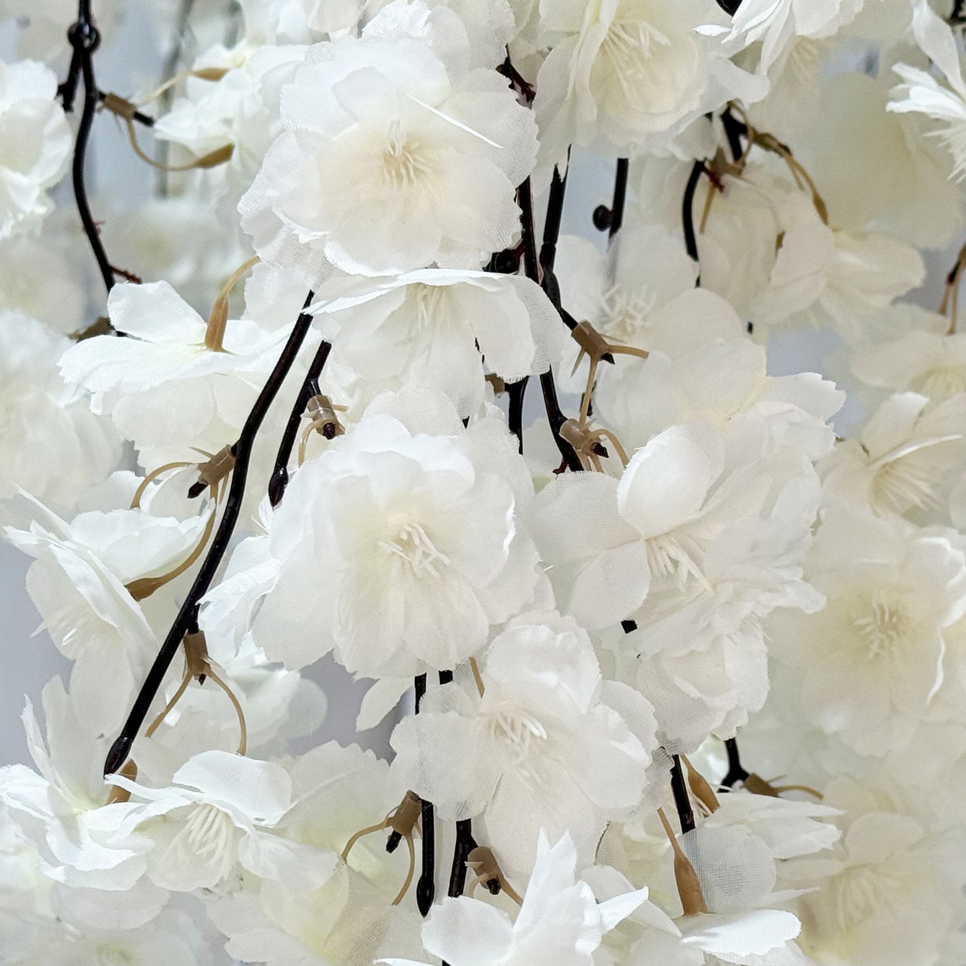 Cherry Blossom Ceiling Cascade White close up of florals