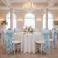 indoor wedding reception with Curly Willow Chair Sash - Baby Blue