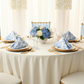 baby shower with French Toile 20"x20" Linen Napkin (5pc/pk) - Baby Blue and ivory tablecloth