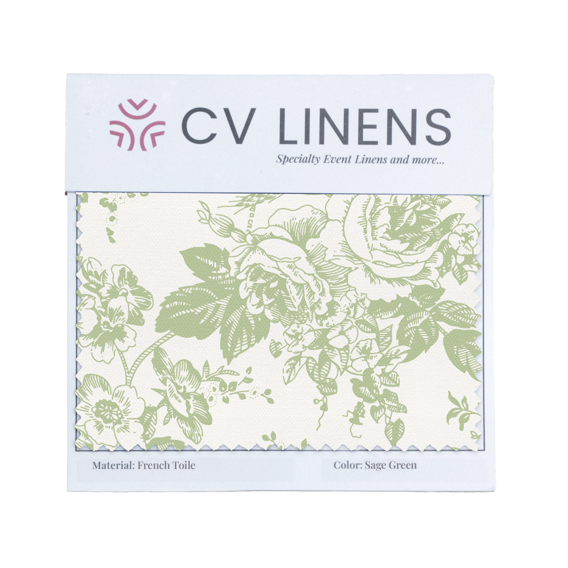 Sage Green French Toile Swatch Card