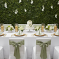 birthday celebration with French Toile 20"x20" Linen Napkin (5pc/pk) - Olive Green

