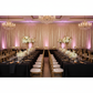 corporate gala with Glitz Sequin Mesh Net 12ft H x 52" W Drape/Backdrop panel - Champagne