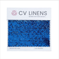 Glitz Swatch Card - Royal Blue