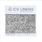 Glitz Swatch Card - Silver
