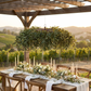 Hanging Greenery Leaf Ceiling Canopy outdoor hanging above dinner table set up