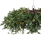 Hanging Greenery Leaf Ceiling Canopy - CV Linens