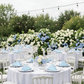 garden reception with Lamour Satin Napkin 20"x20" - Baby Blue