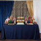 Leopard Animal Print Spandex 4-way Stretch Drape Curtain 12ft H x 60" W
on a safari desert table themed birthday 