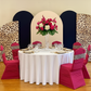 Leopard Spandex Chair Band
