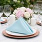 Premium Polyester Napkin 20"x20" - Baby Blue - CV Linens