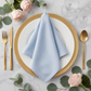 Premium Polyester Napkin 20"x20" - Dusty Blue - CV Linens
