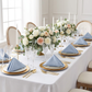 Premium Polyester Napkin 20"x20" - Dusty Blue - CV Linens