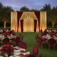 Metallic Gold Spandex Drape Curtain 10ft x 60" Wrinkle-Free Backdrop Panel