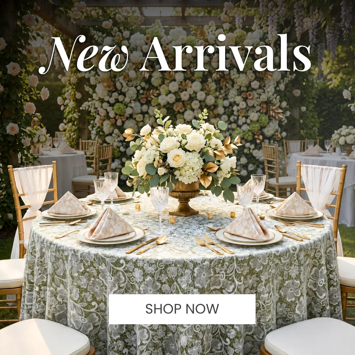 New Arrivals