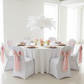 Ostrich Feathers 14"-16" (10 pcs) - White