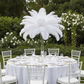 Ostrich Feathers 14"-16" (10 pcs) - White