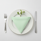 Premium Polyester Napkin 20"x20" - Mint Green on white/gold trimmed dinner plate | white tablecloth |