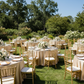 outdoor event with the Premium Satin (Wrinkle-Resistant) Round Tablecloth Champagne, gold chiavari chairs and gold charger plates