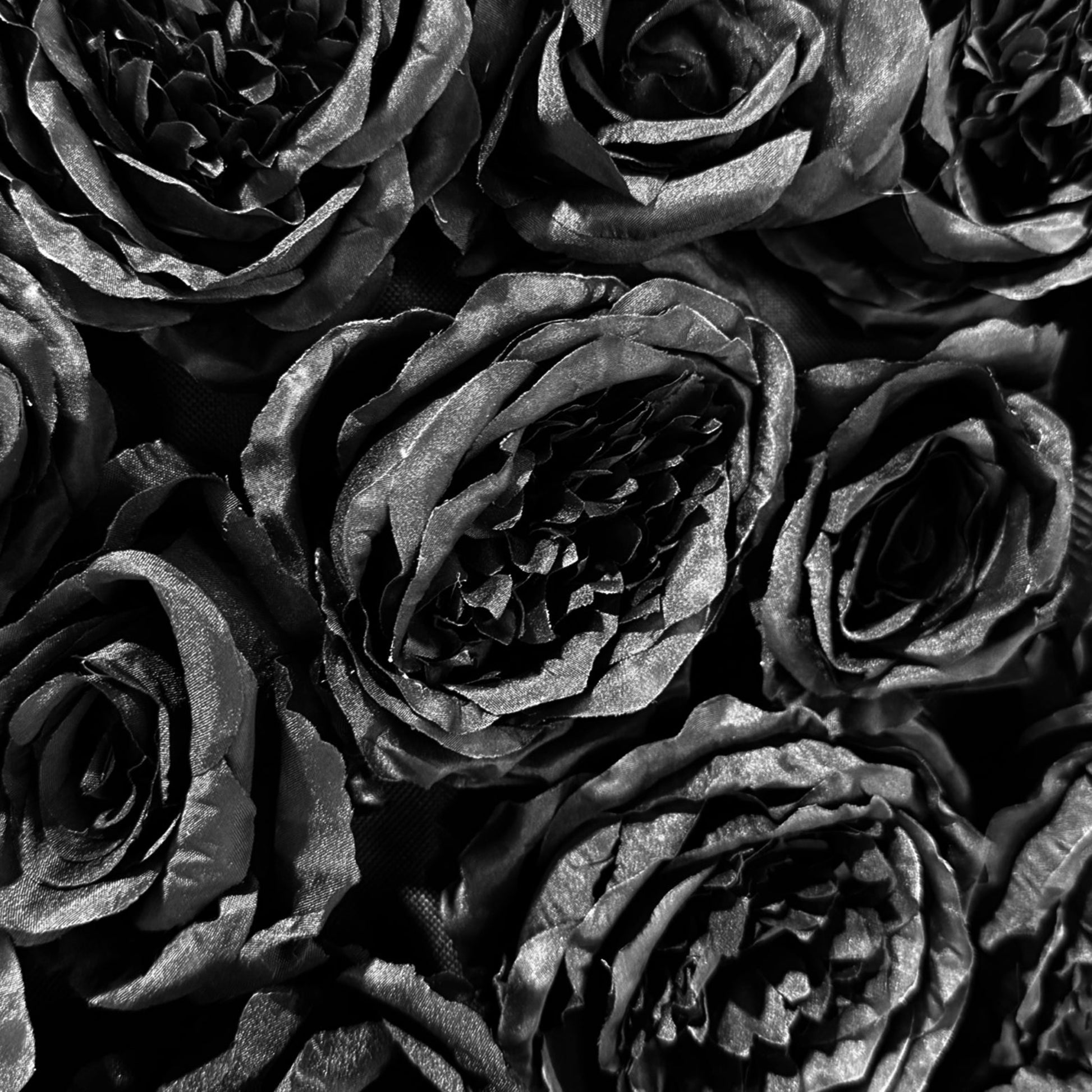 Roll up flower wall backdrop black flower close up