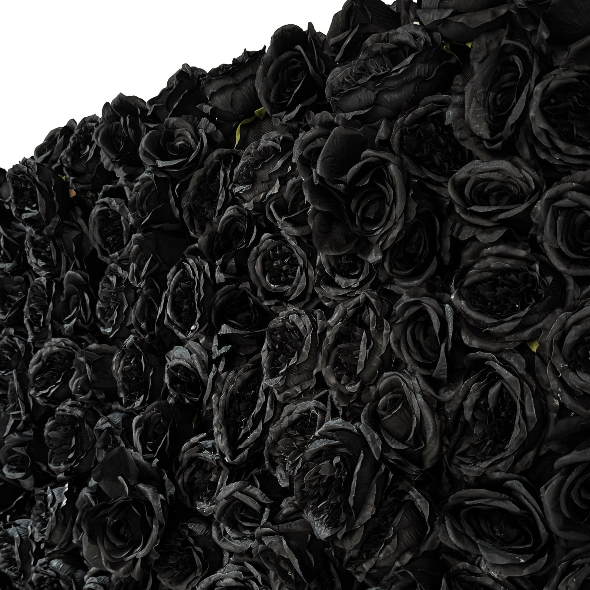 Roll up flower wall backdrop black flower close up angle
