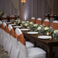 Ruffled  Spandex Chair Band - Terracotta