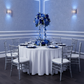 Sequin Velvet 120" Round Tablecloth - White