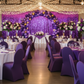 quinceañera with Spandex Banquet Chair Cover - Eggplant/Plum