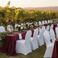 outdoor vineyard reception with Spandex Banquet Chair Cover - White