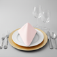 Taffeta Napkin 20"x20" - Pastel Pink on white dinner plate | gold charger plate | wine goblets