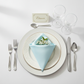 Taffeta Napkin 20"x20" - Baby Blue
 on top of white dinner and charger plate