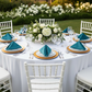Velvet 20"x20" Linen Napkin - Peacock Teal