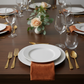 Velvet 20"x20" Linen Napkin - Rust | charger plate | wine goblets | 