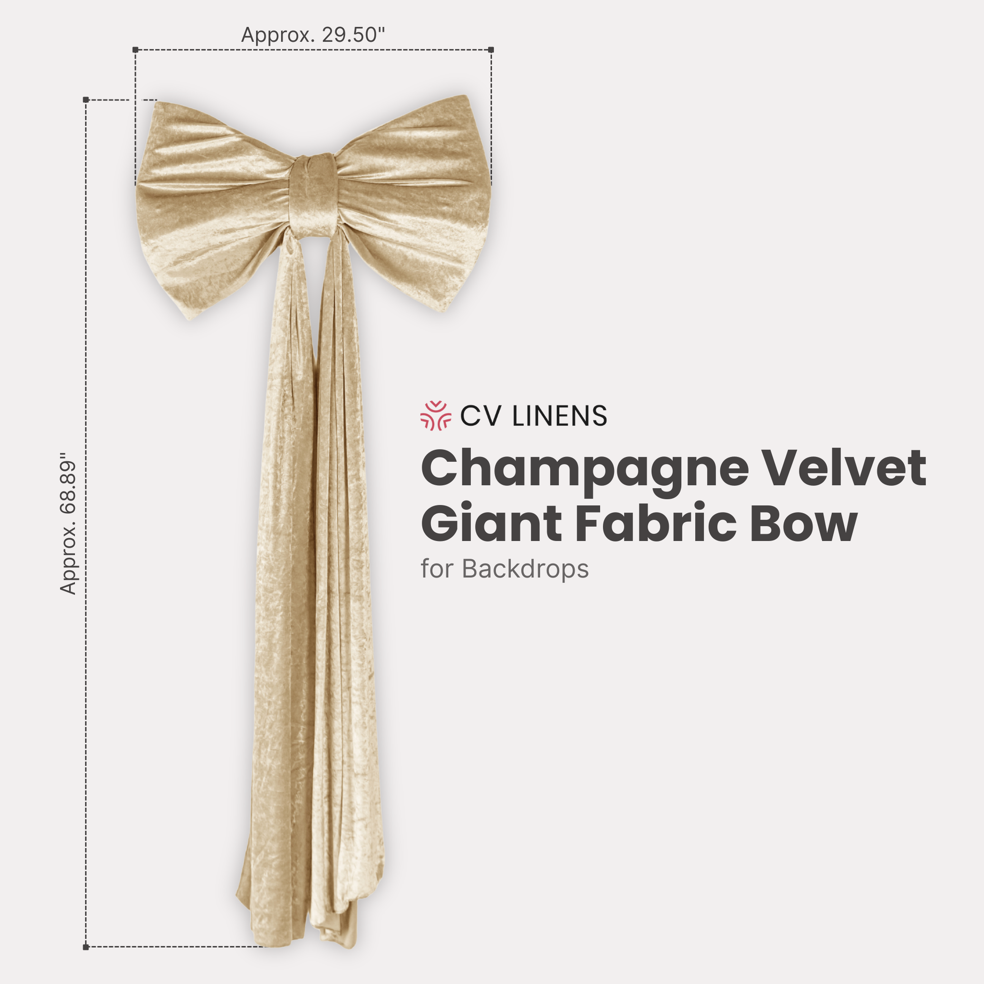 Velvet Giant Fabric Bow for Backdrop Champagne infographic
