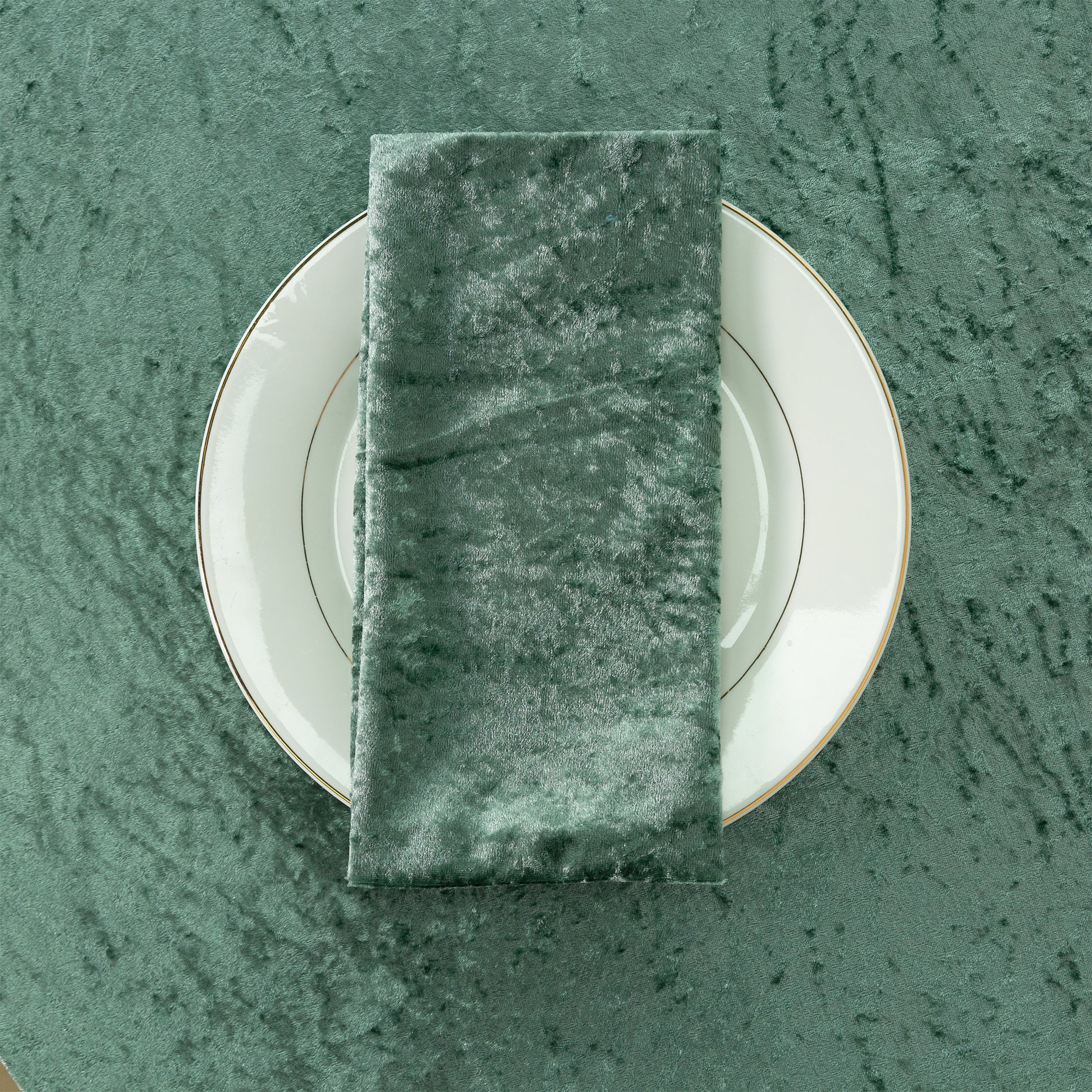 Velvet 20"x20" Linen Napkin - Eucalyptus
