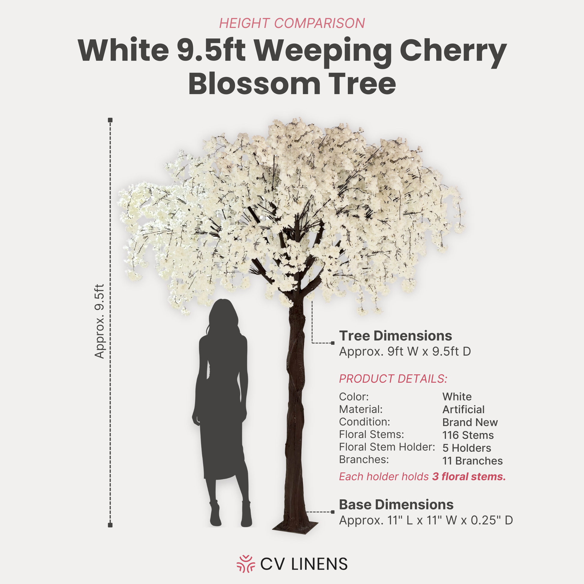9.5ft Weeping Cherry Blossom Tree White infographic showing product details