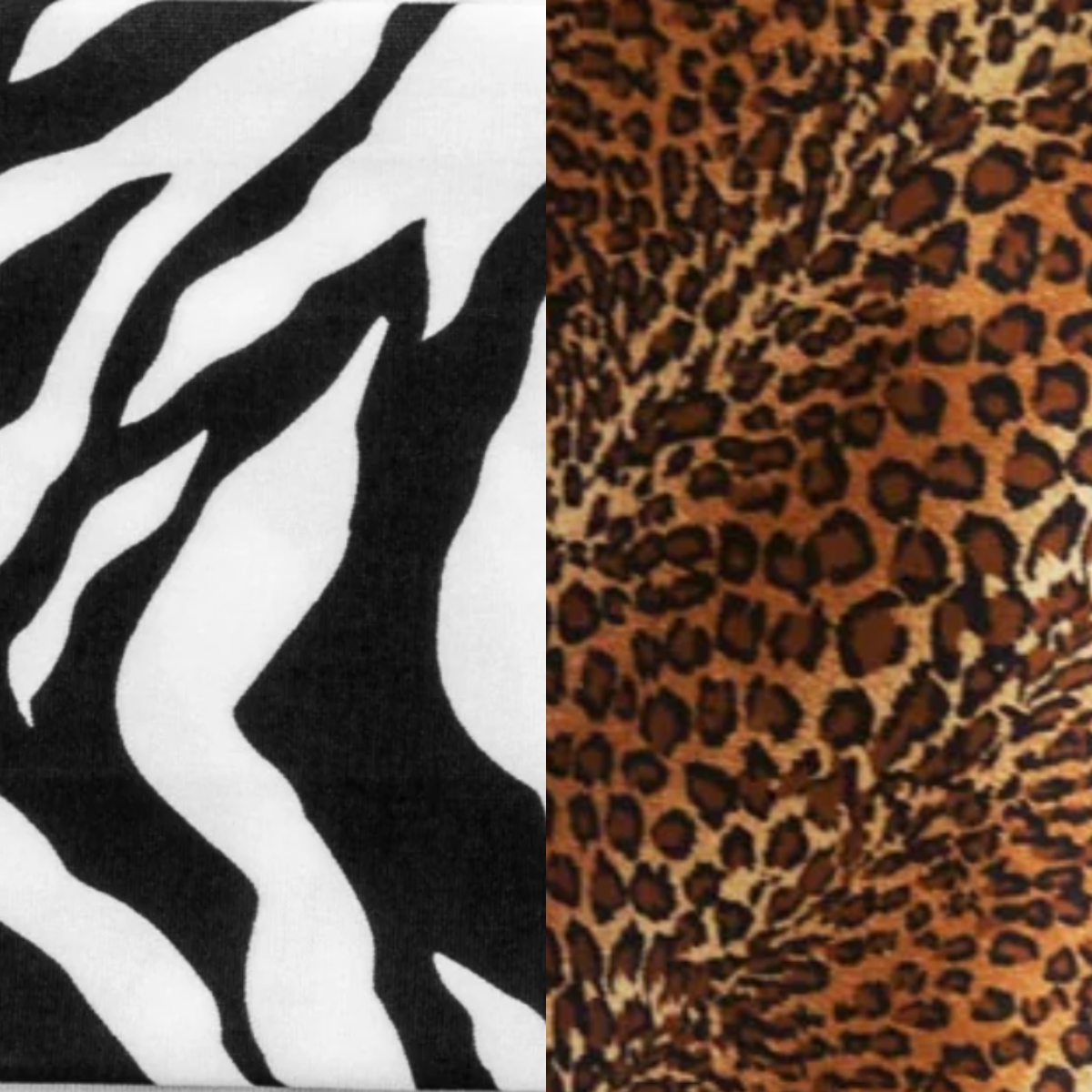 Animal Print